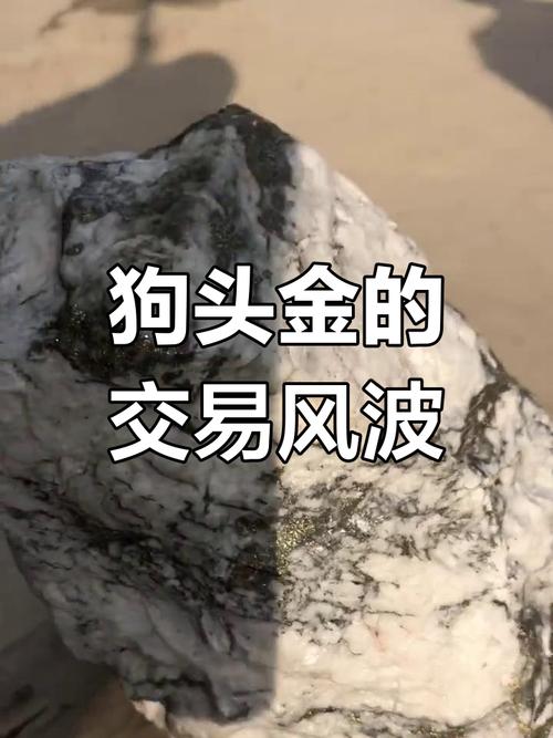 世界上最大的狗头金图片？最大的狗头表情包？  第2张
