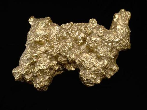 世界上最大的狗头金图片？最大的狗头表情包？  第3张