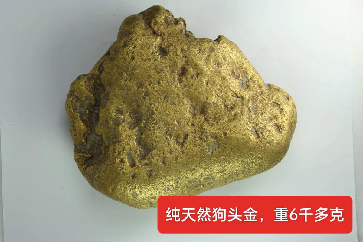 世界上最大的狗头金图片？最大的狗头表情包？  第5张