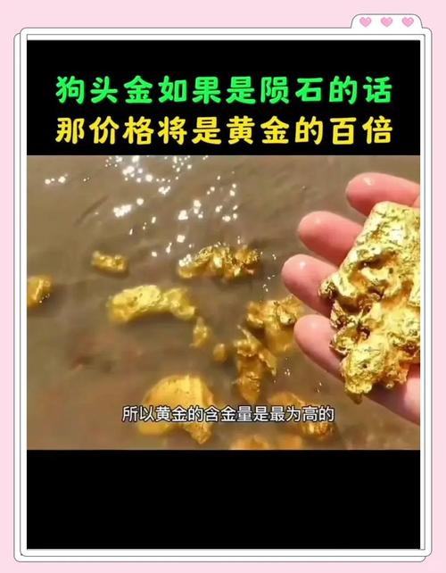 世界上最大的狗头金图片？最大的狗头表情包？  第6张