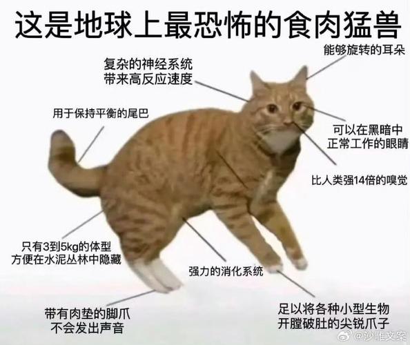 世界上最恐怖的生物，世界上最恐怖的生物变异人类  第3张