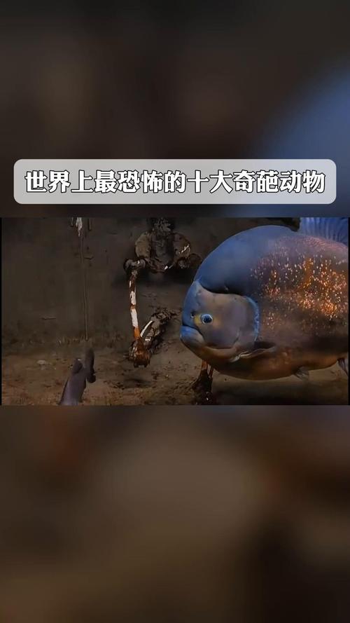 世界上最恐怖的生物，世界上最恐怖的生物变异人类  第4张