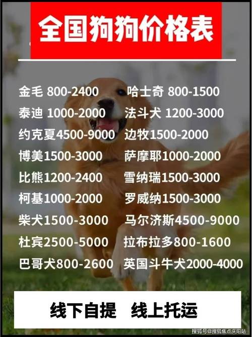 世界上最贵的狗多少钱一只？世界上最贵的狗费用排名？  第6张
