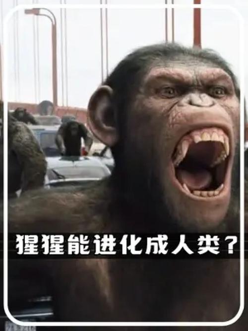 黑人类人猿，黑人是猿人吗  第1张
