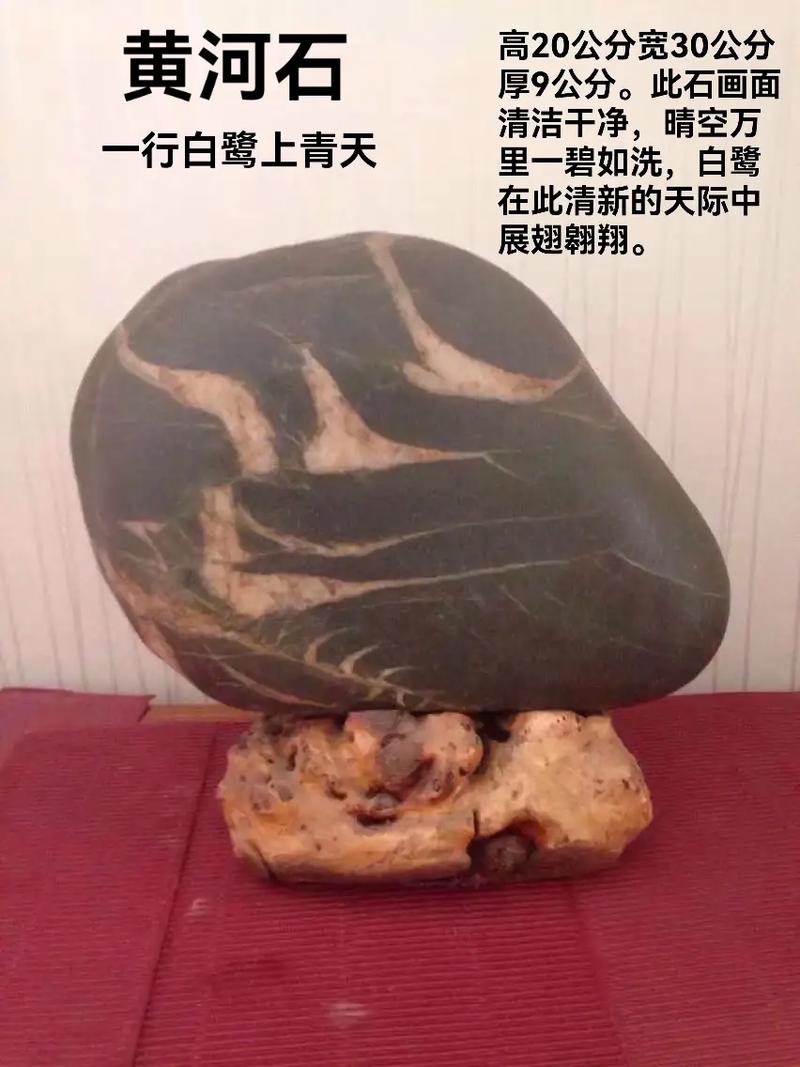 黄河棺材小说，黄河棺材事件真的吗？  第6张
