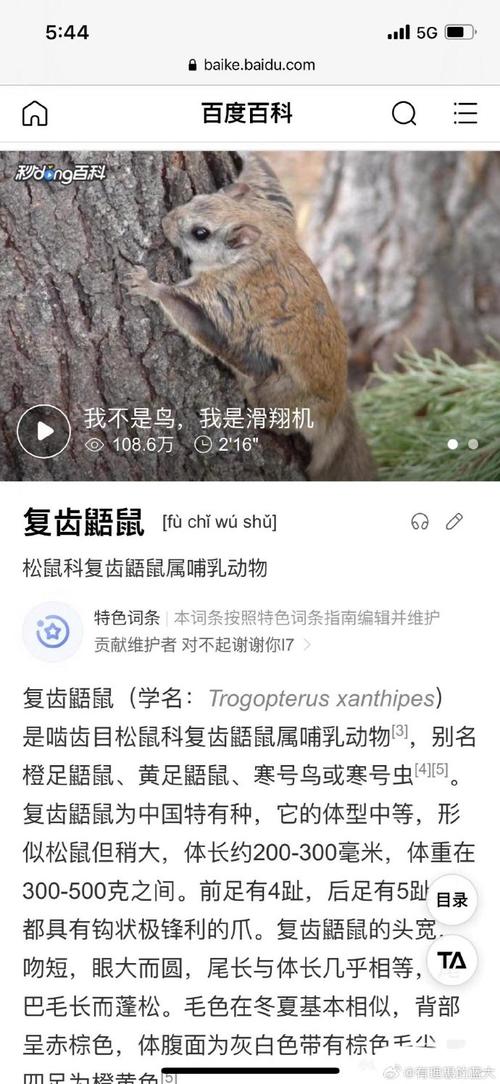 别人说你是寒号鸟是啥意思？寒号鸟是什么人？  第3张