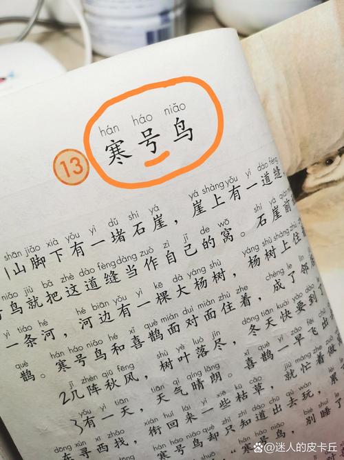 别人说你是寒号鸟是啥意思？寒号鸟是什么人？  第5张