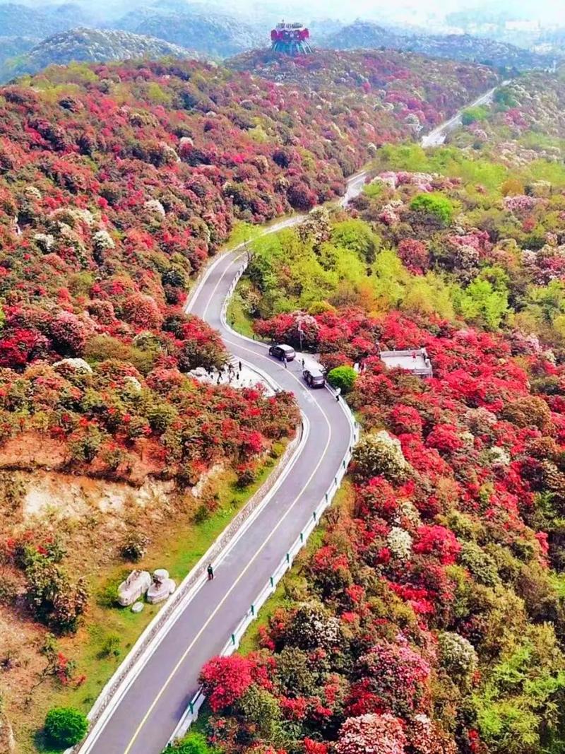 纳雍天气预7天预报，纳雍天气15天预报？  第6张