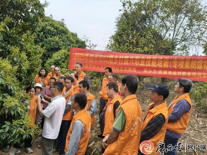 广西桂平挖蛇事件真相，广西桂平挖蛇事件真相揭秘？  第5张