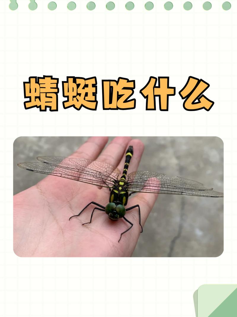 通州天气今天有雨吗，通州天气今天有雨吗天气预报？  第2张