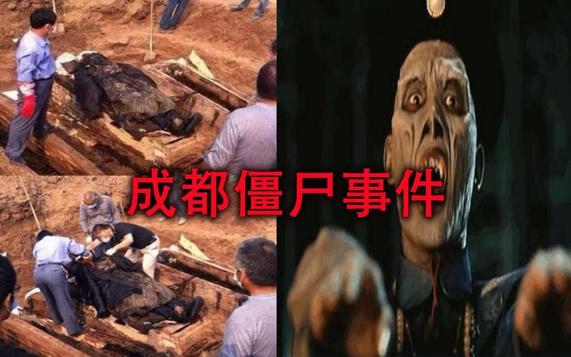 成都僵尸事件僵尸，1成都僵尸事件？  第5张