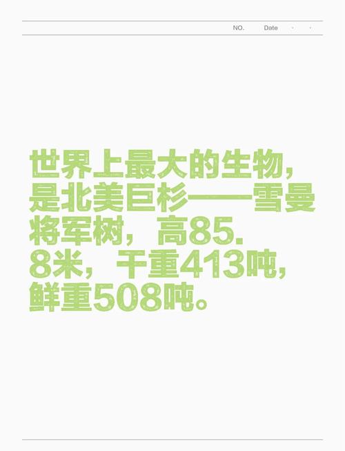 雪曼将军树详细介绍，雪曼将军树百度百科  第2张