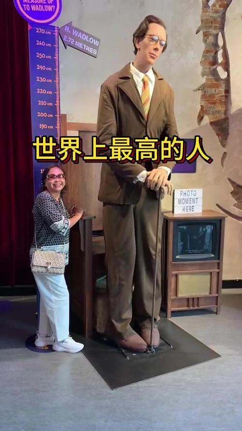世界上比较高的人排名前十，世界上比较高的人排名前十名  第1张