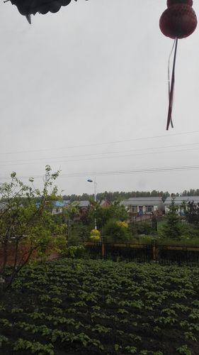绥化6月份天气预报？绥化6月份天气预报视频？  第6张
