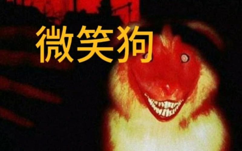 微笑狗恐怖图片哈士奇，微笑狗恐怖图片哈士奇可爱？  第4张