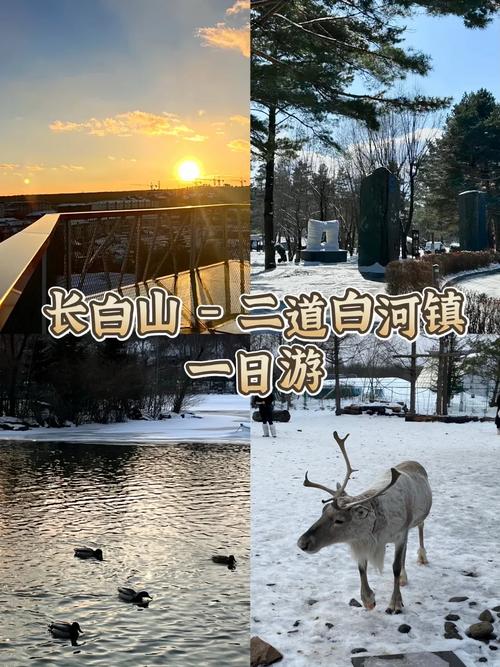 二道白河25号天气？吉林二道白河天气预报15天查询？  第1张