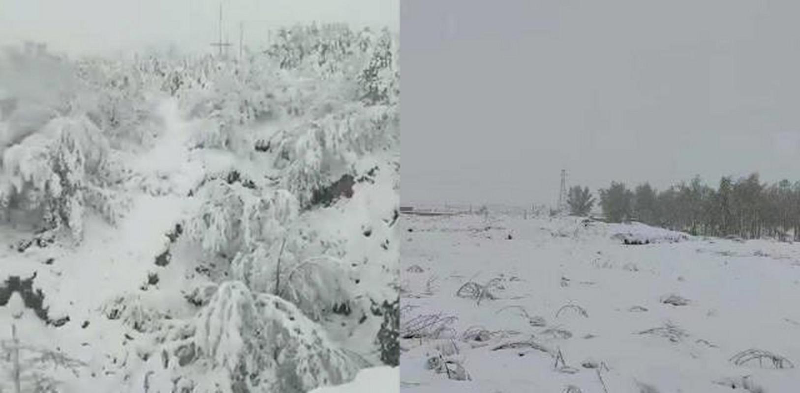 吴堡未来15天天气，吴堡未来15天天气情况  第5张