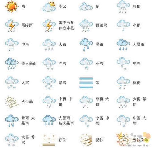 天气预报下雪的标志，下雪的标志天气报告  第3张