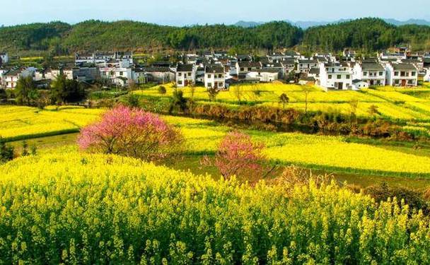 明天上饶葛仙山天气，明天上饶葛仙山天气预报  第5张