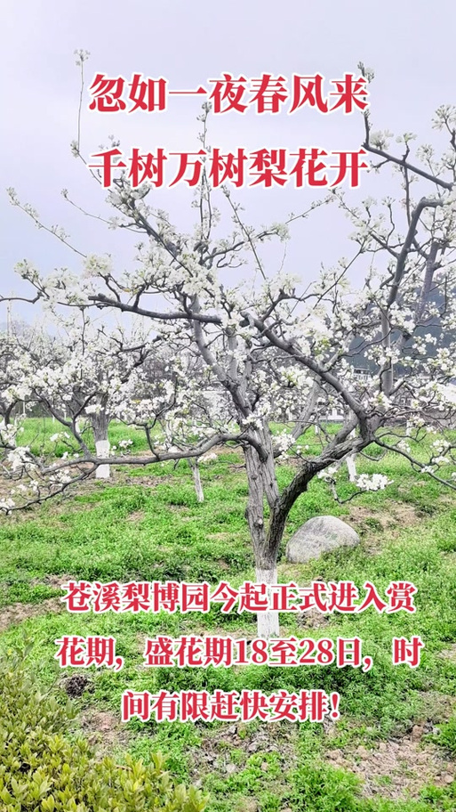 广元市历史天气预报，广元过去天气  第1张