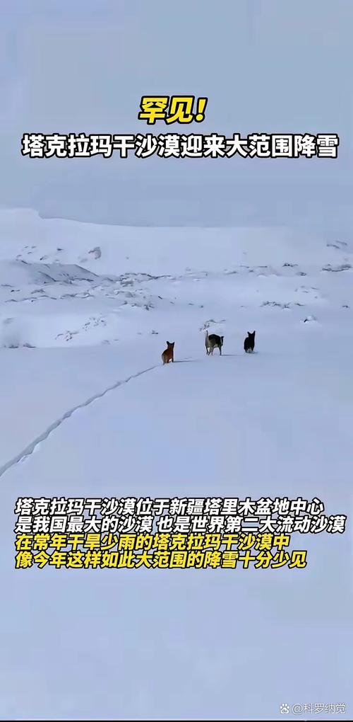 霍金预言:前十预言2021，霍金预言前十预言有哪些  第3张