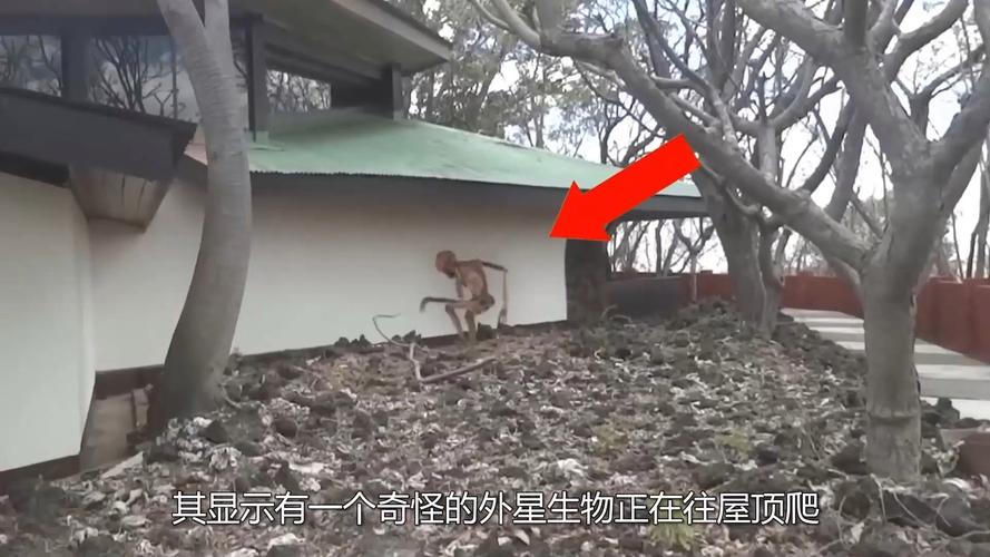 外星人视频曝光？外星人的视屏？  第4张