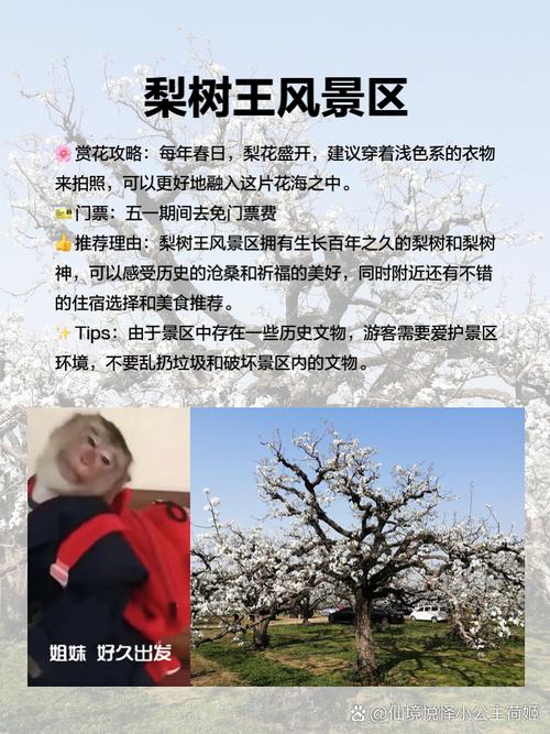 砀山60天天气预报？砀山60天天气预报最准确的一天？  第4张