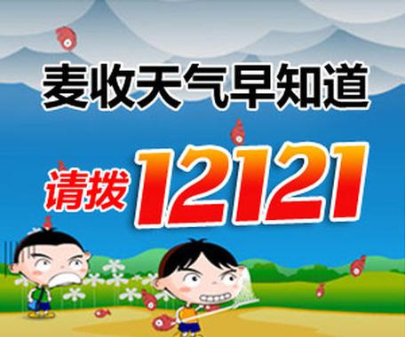 百色气象局天气预报，百色气象局天气预报查询  第3张