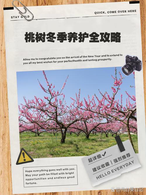 大荔天气15天预报？大荔天气预报一周7天？  第5张