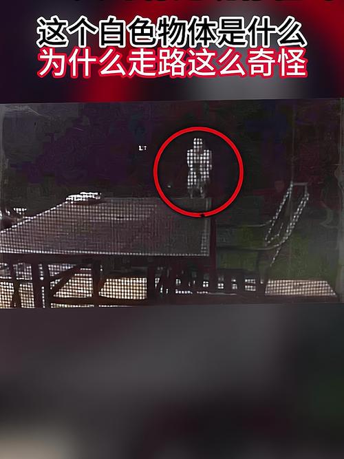 5秒出鬼图片，5秒出鬼图片视频？  第3张