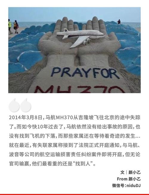 马航mh370黑匣子录音曝光，马航的黑匣子  第1张