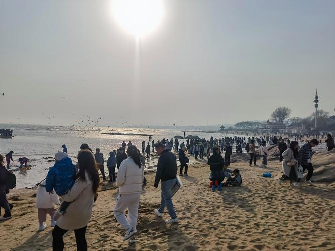 南戴河天气今天小时，南戴河天气今天小时天气预报？  第4张