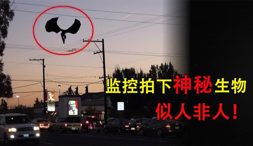 世界上有鬼吗监控视频，世界上有没有鬼的存在 真实视频？  第3张