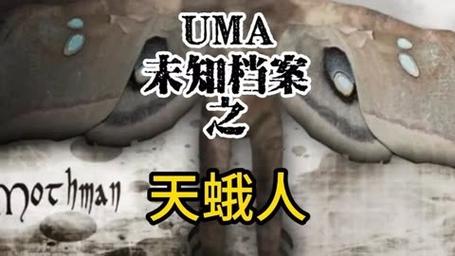 天蛾人的克星，天蛾人目击？  第2张
