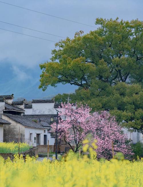 鹰潭30天天气预报，鹰潭天气60天气预报  第1张