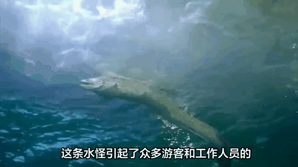 天山天池水怪，天山天池水怪照片？  第5张