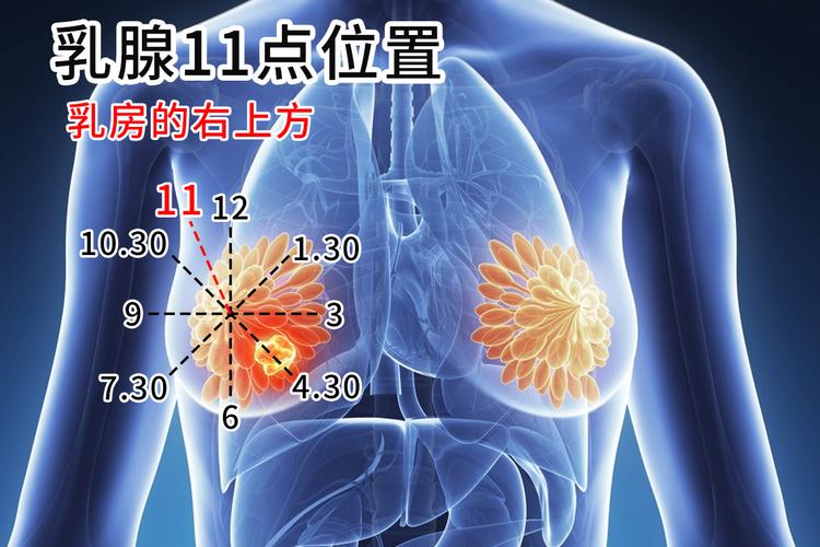 世界上最大的乳腺头？胸软软的有弹性？  第4张
