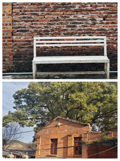福建南平延平区天气，福建南平延平区天气如何？  第3张