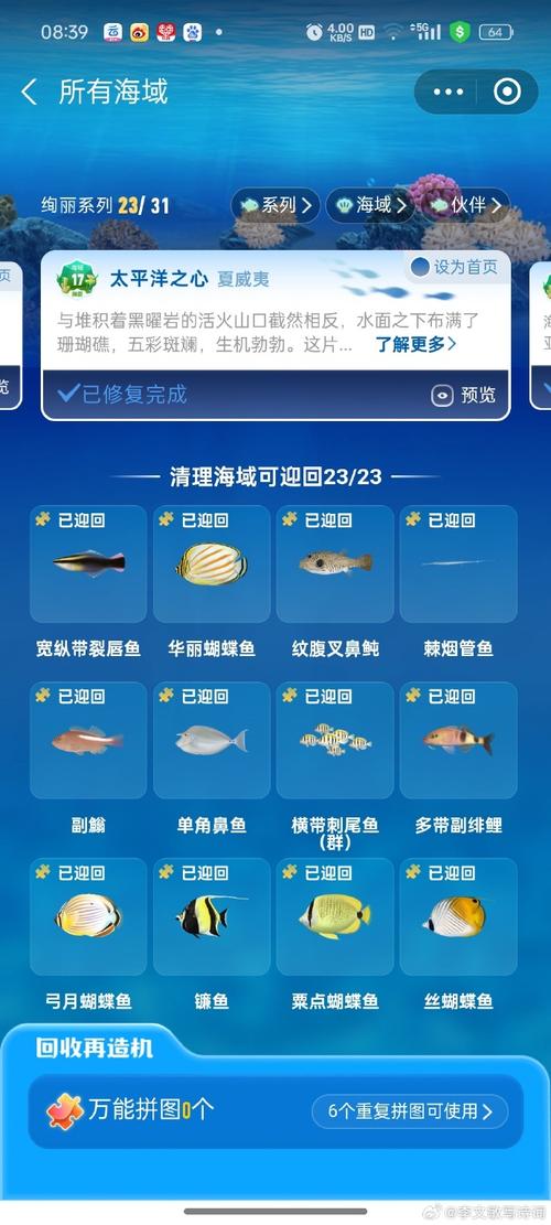 世界最大的海龟是，请问世界上最大的海龟是什么海龟？  第5张