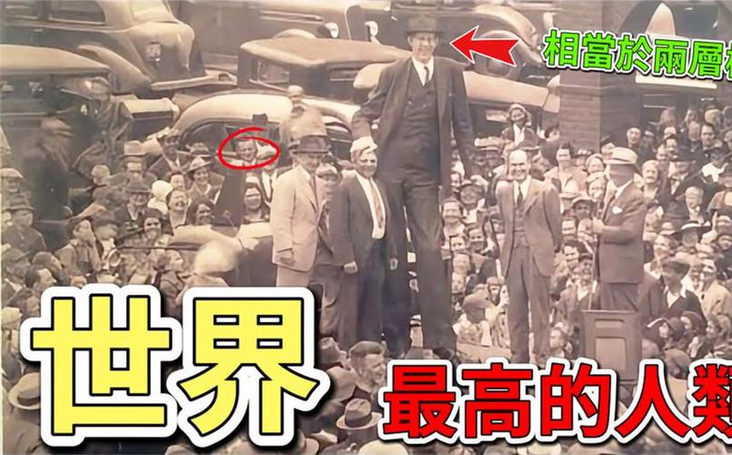 世界上比较高的人10米？世界上比较高的人10米以上？  第3张