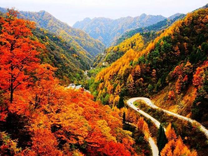 光雾山桃园景区天气，光雾山景区天气预报30天  第3张