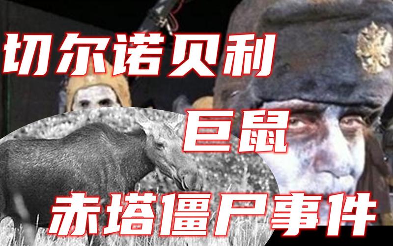 俄罗斯国有丧尸吗，俄罗斯国有丧尸吗知乎？  第6张