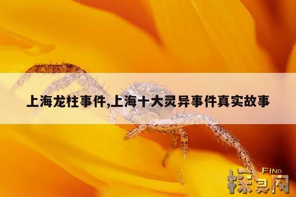 上海龙柱打桩的故事，流传二十年的上海龙柱传说？  第1张