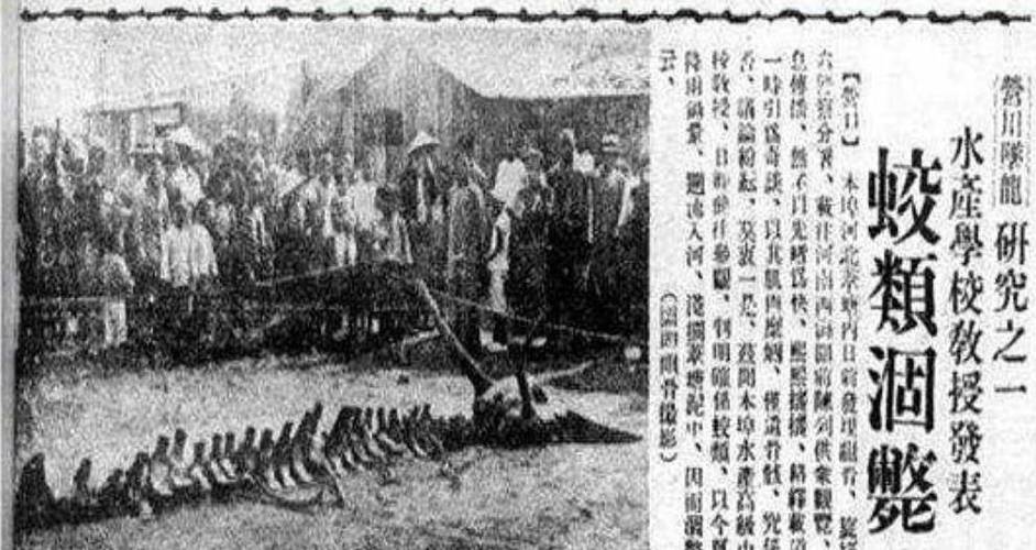 刚果巨蛇图片，刚果发现200米长的蛇？  第1张