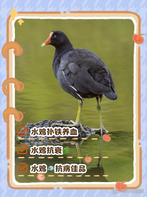 黄梅县一周天气预报，湖北黄冈黄梅县天气预报15天查询？  第2张