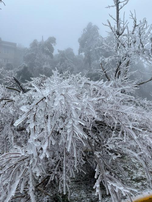 未来十五天庐山天气？庐山未来几天天气？  第2张