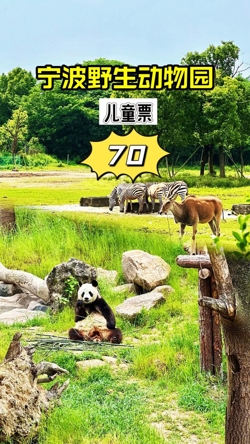 湖州长兴县太湖天气，忏悔录残忍的烙印上  第1张