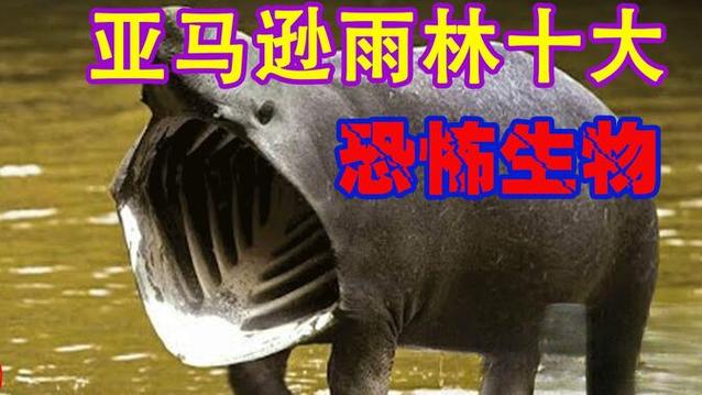 热带雨林前十恐怖生物，热带雨林前十恐怖生物每个50字  第5张