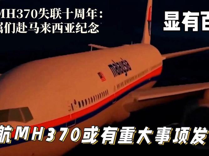揭秘马航事件真相，揭秘马航事件真相是什么  第3张