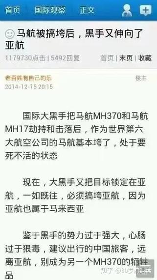 揭秘马航事件真相，揭秘马航事件真相是什么  第4张